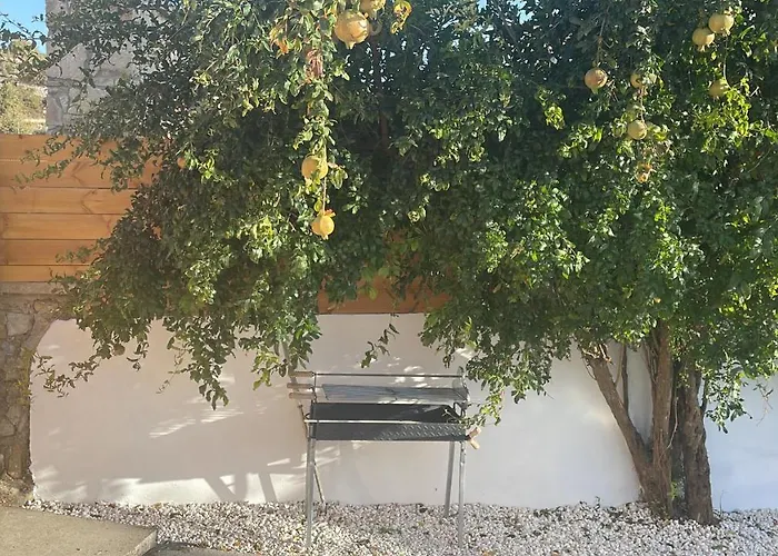 Fig&olive Luxury One Bedroom Boutique In Pachna Casa vacanze Limisso