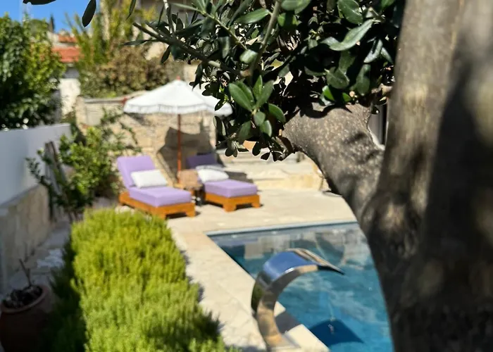 Fig&olive Luxury One Bedroom Boutique In Pachna * Limisso